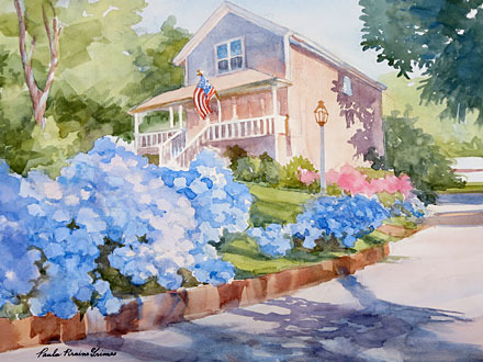 Hydrangea Explosion