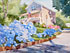 Hydrangea Explosion Hydrangea Explosion